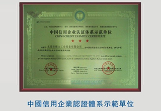 China credit enterprise certification system demonstration units